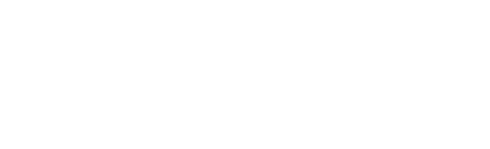 Nuplace logo