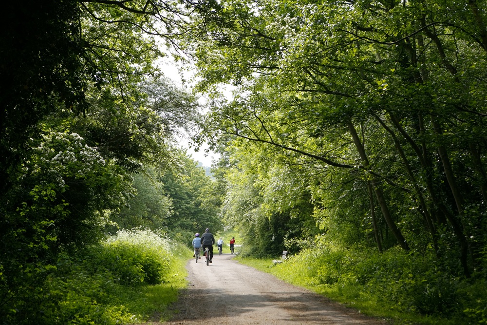 A photograph of several bicyclists on a trail winding through the trees of Telford Town Park.